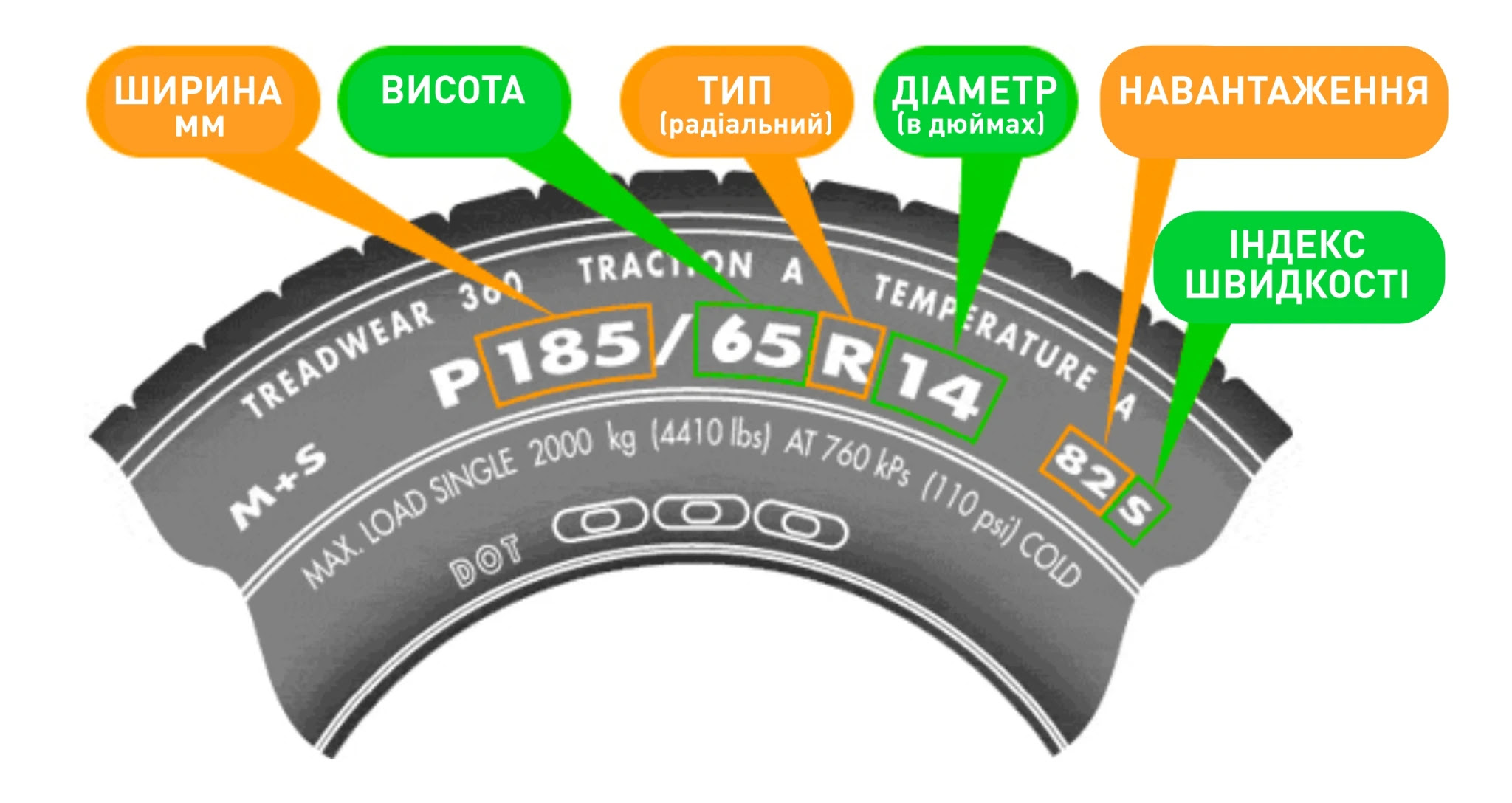 6a02f6188b1e5.webp
