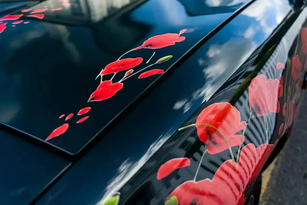 slider_image_272077